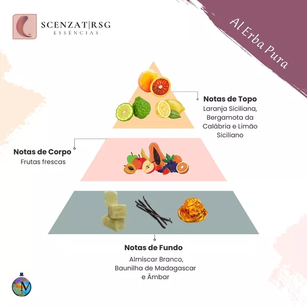 Pirâmide Olfativa (Perfume Inspirado)