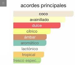 Pirâmide Olfativa (Nosso Produto)